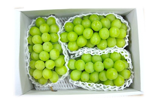 【令和8年産先行予約】 《定期便5回》 JA 夏秋冬美味フルーツ定期便 『JA山形おきたま』 山形県 南陽市 [1491]