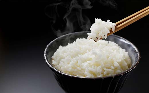 【令和8年産 新米 先行予約】 雪若丸 (精米) 10kg 《令和8年9月下旬～発送》 『マルタニ農園』 山形南陽産 米 白米 ご飯 農家直送 山形県 南陽市 [2386-R8]