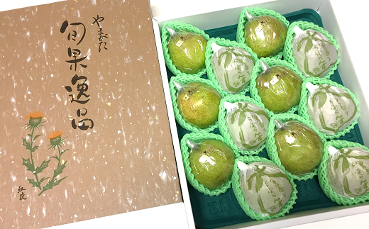 【令和8年産先行予約】 【市農業祭最優秀賞受賞者】 ラ・フランス 約5kg (8～12玉 特選 5～6L) 《令和8年11月上旬～発送》 『長谷部農園』 洋梨 梨 果物 フルーツ 山形県 南陽市 [1098]