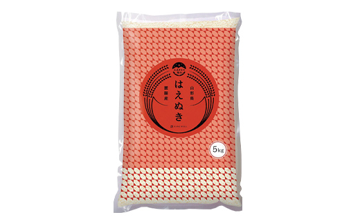 【ふるさとの極み】 令和7年産 山形県 置賜産 はえぬき 10kg (5kg×2袋) 米 コメ 精米 山形県 南陽市 [1918-AR7]