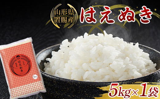 【ふるさとの極み】 令和7年産 山形県 置賜産 はえぬき 5kg×1袋 米 コメ 精米 山形県 南陽市 [2684]