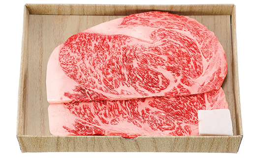 米沢牛 ステーキ食べ比べセット 計480g(サーロインステーキ・ヒレステーキ) 山形県 南陽市 [2698]