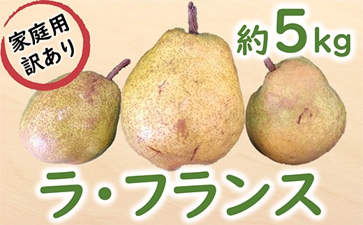 【令和8年産先行予約】 〈訳あり品 家庭用〉 ラ・フランス 約5kg (12～24玉) 《令和8年11月中旬～発送》 『カネタ高橋青果』 ラフランス フルーツ デザート 山形県 南陽市 [2674]