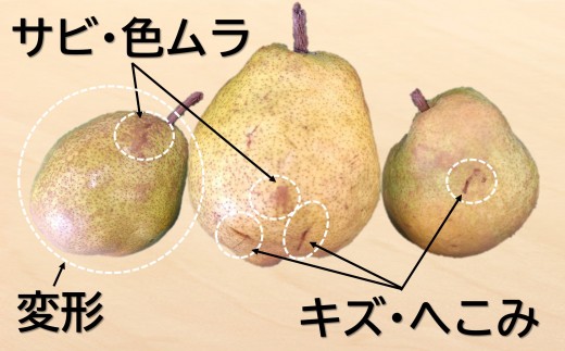 【令和8年産先行予約】 〈訳あり品 家庭用〉 ラ・フランス 約5kg (12～24玉) 《令和8年11月中旬～発送》 『カネタ高橋青果』 ラフランス フルーツ デザート 山形県 南陽市 [2674]
