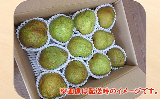 【令和8年産先行予約】 〈訳あり品 家庭用〉 ラ・フランス 約5kg (12～24玉) 《令和8年11月中旬～発送》 『カネタ高橋青果』 ラフランス フルーツ デザート 山形県 南陽市 [2674]