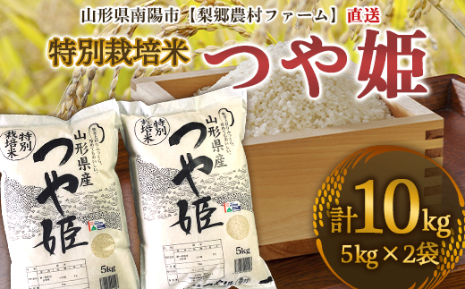 特別栽培米つや姫10kg（5kg×2袋） 834