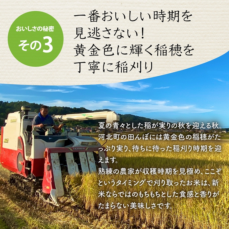 【令和6年産米】※2025年4月下旬スタート※ 特別栽培米 つや姫15kg（5kg×3ヶ月）隔月定期便 山形県産 【JAさがえ西村山】