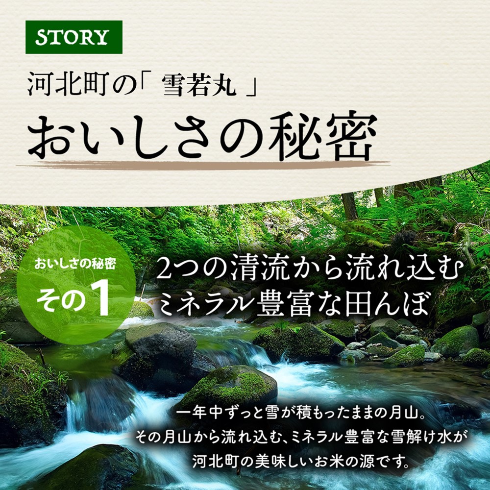 【令和6年産米】2025年4月下旬発送 雪若丸 5kg山形県産 【米COMEかほく協同組合】