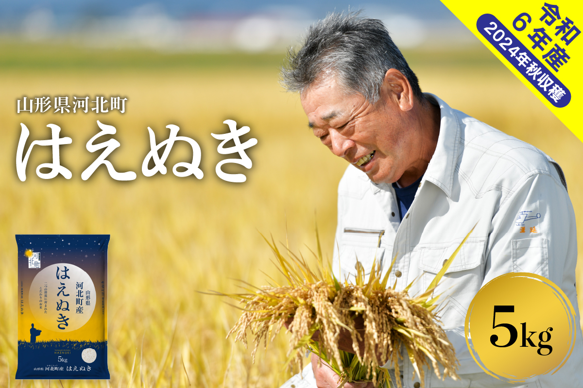 【令和6年産米】2025年3月下旬発送 はえぬき5kg 山形県産【米COMEかほく協同組合】