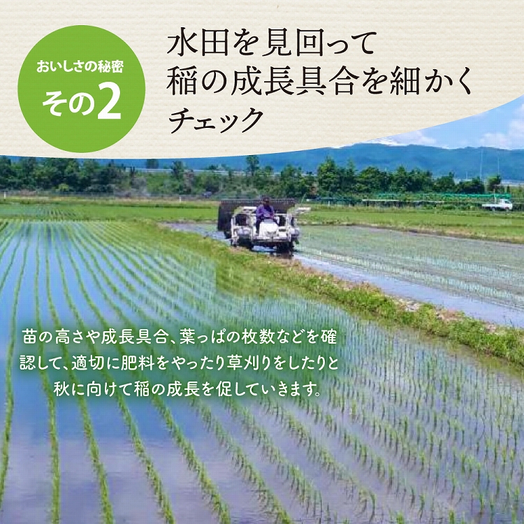 【令和6年産米】2024年12月中旬発送 特別栽培米 つや姫5kg 山形県産 【JAさがえ西村山】