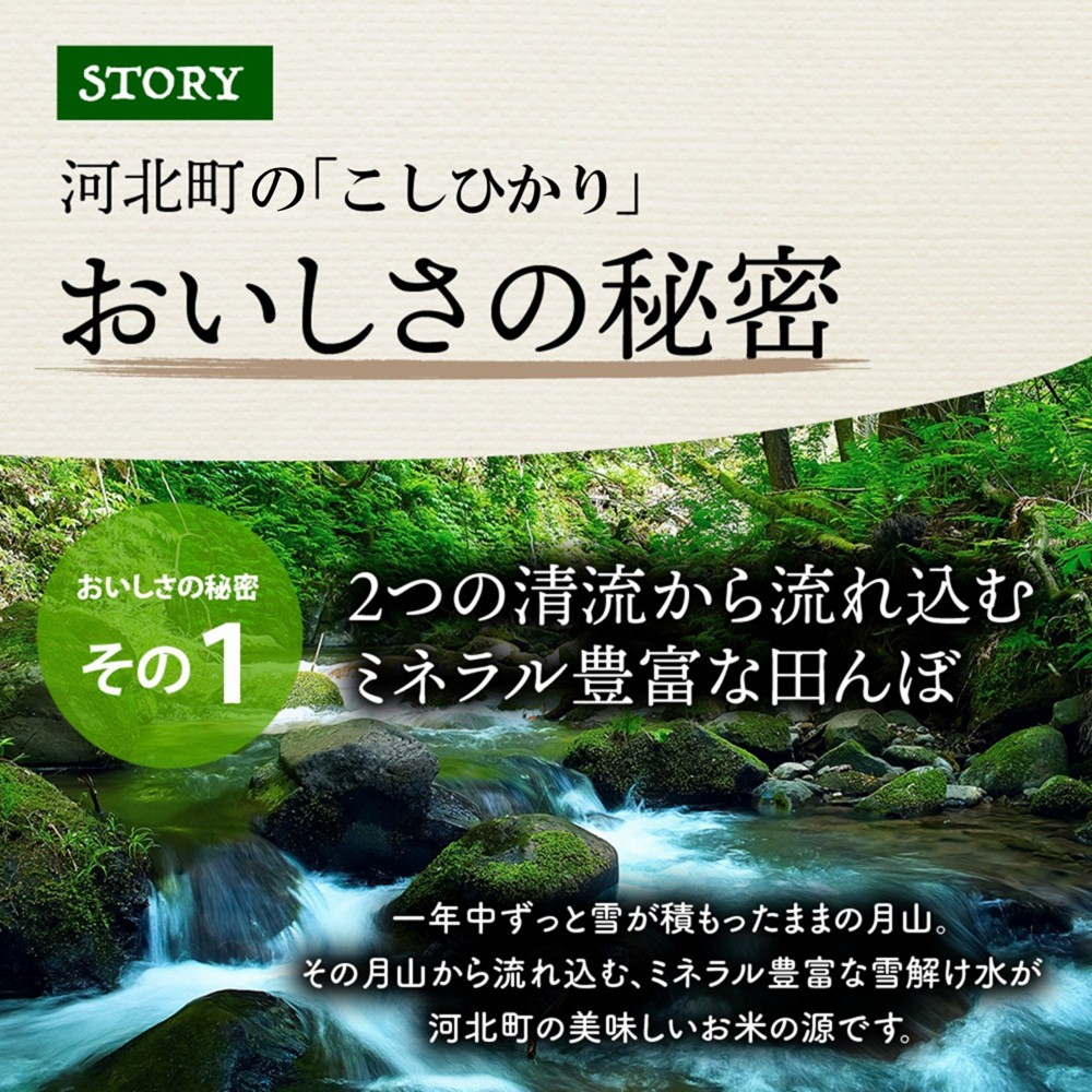 【令和6年産米】2025年1月中旬発送 こしひかり 20kg（5kg×4袋）山形県産 【米COMEかほく協同組合】