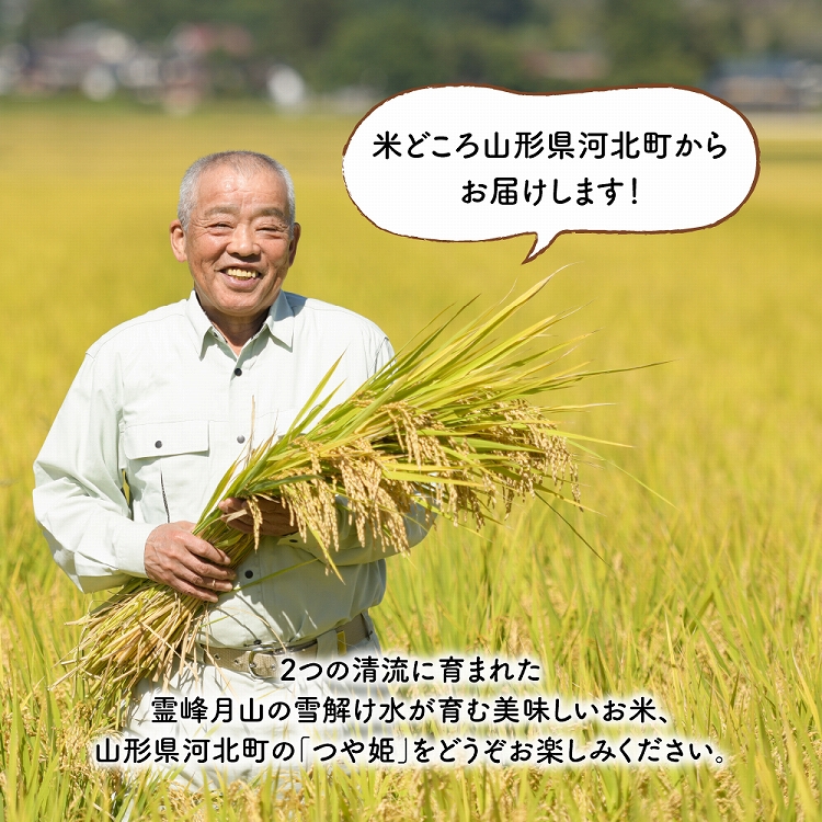 【令和6年産米】2025年7月中旬発送 特別栽培米 つや姫20kg（5kg×4袋）山形県産 【JAさがえ西村山】