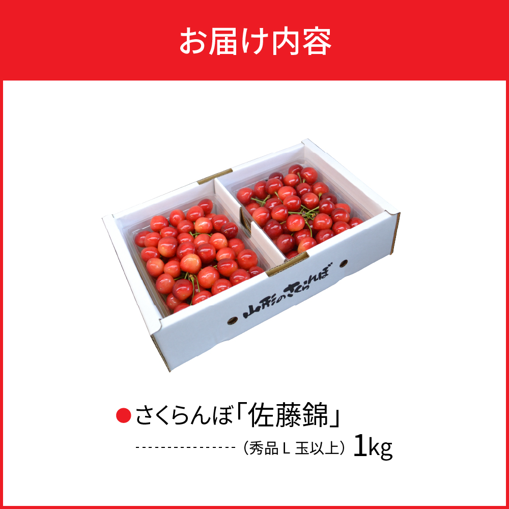  【令和8年産】さくらんぼ 佐藤錦1kg(500g×2パック)  L玉以上 ギフト箱入 秀品 山形県産 【山形eLab】　ka074-034