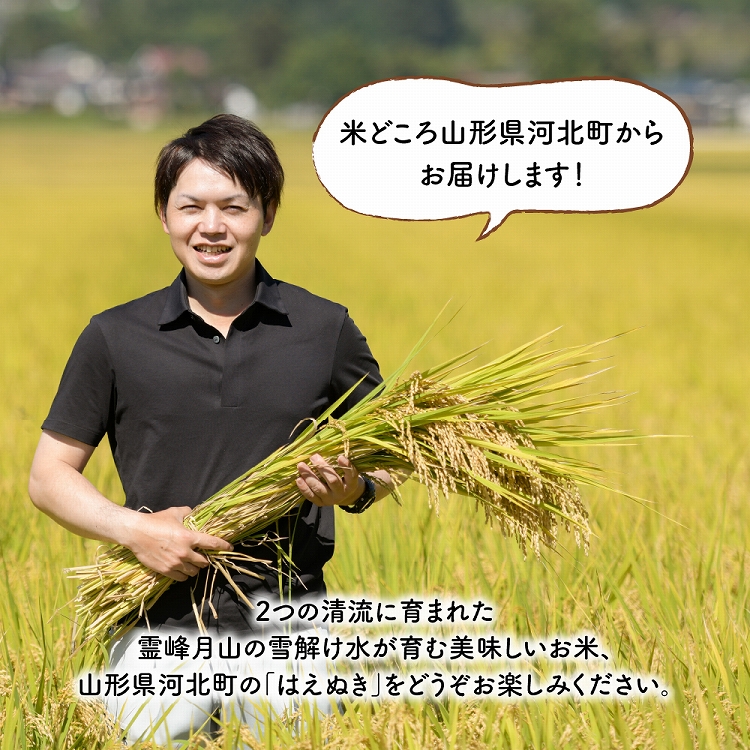 【令和6年産米】※2025年4月下旬スタート※ はえぬき60kg（20kg×3ヶ月）隔月定期便 山形県産 【JAさがえ西村山】