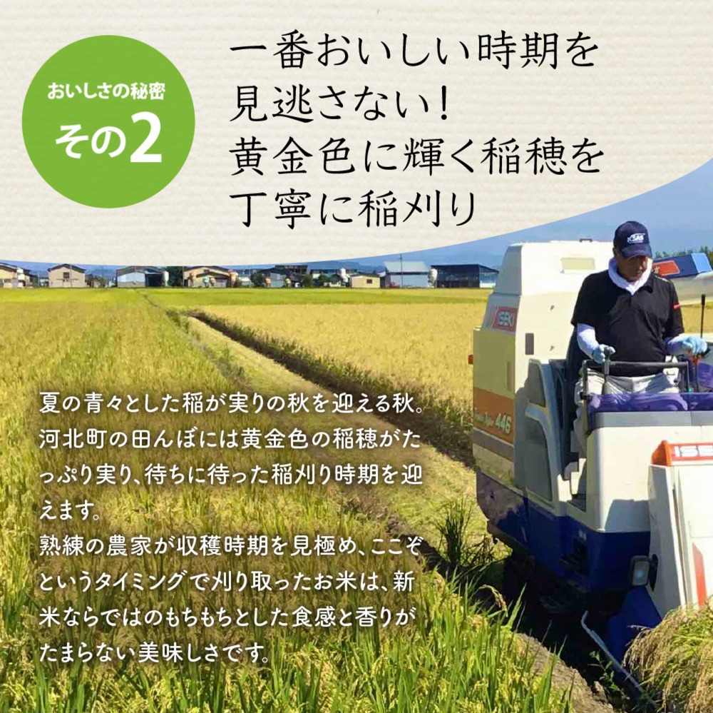 【令和6年産米】2025年2月中旬発送 雪若丸 20kg（5kg×4袋）山形県産 【米COMEかほく協同組合】