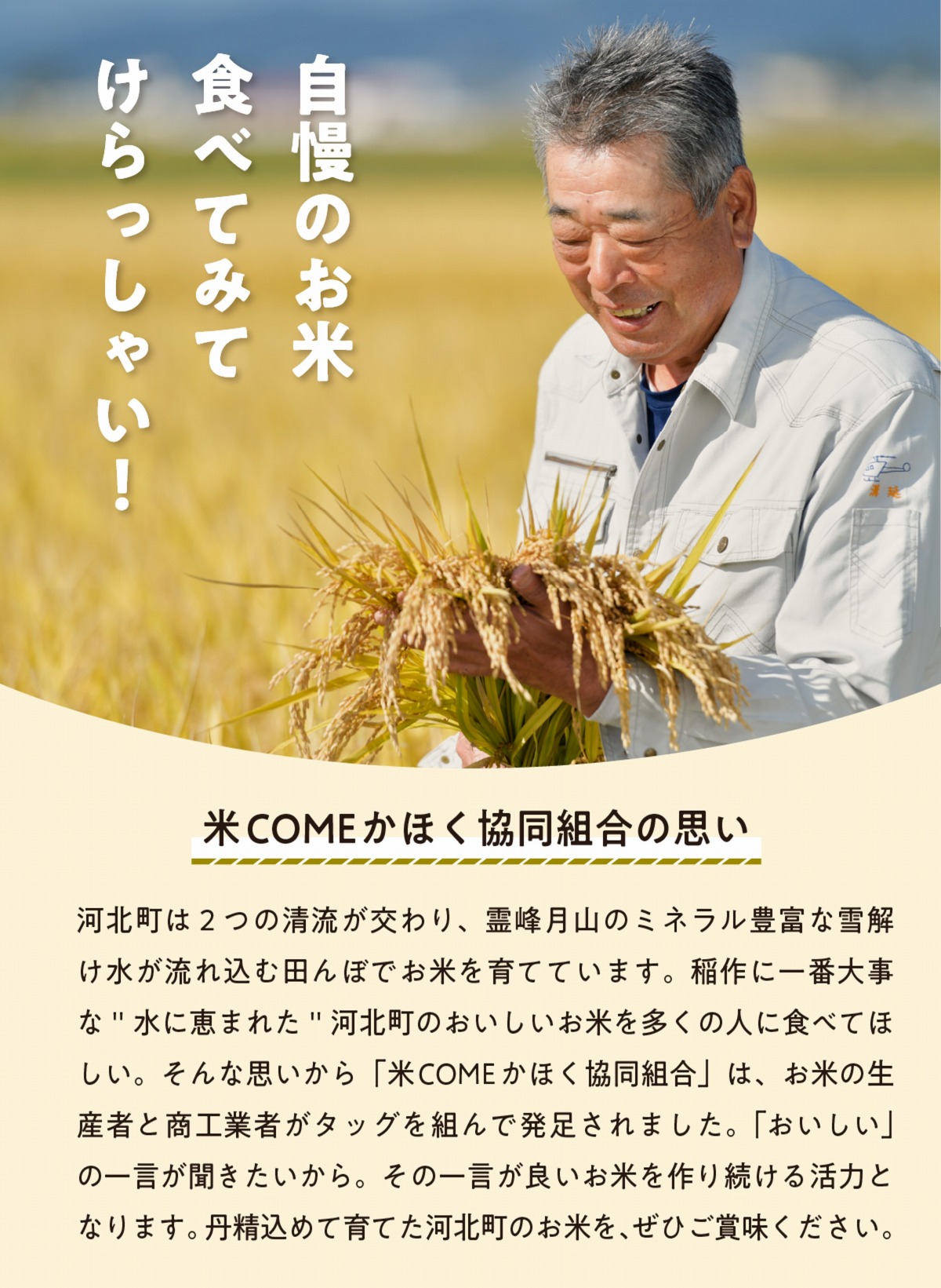 【令和6年産米】2025年1月上旬発送 こしひかり 10kg（5kg×2袋）山形県産 【米COMEかほく協同組合】