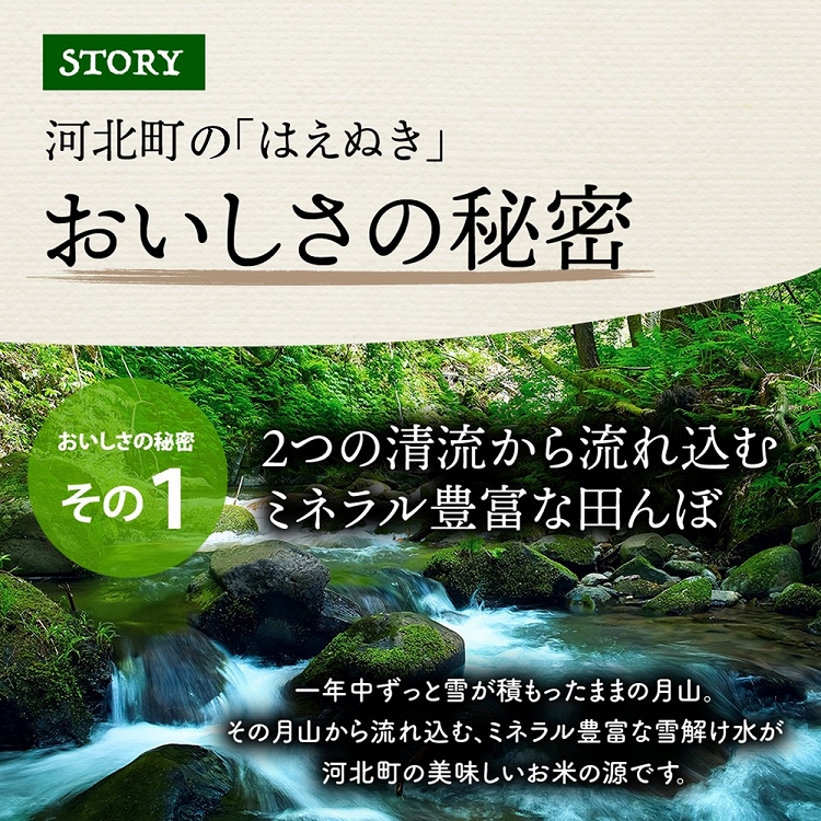 【令和6年産米】2025年5月中旬発送 はえぬき5kg 山形県産 【JAさがえ西村山】