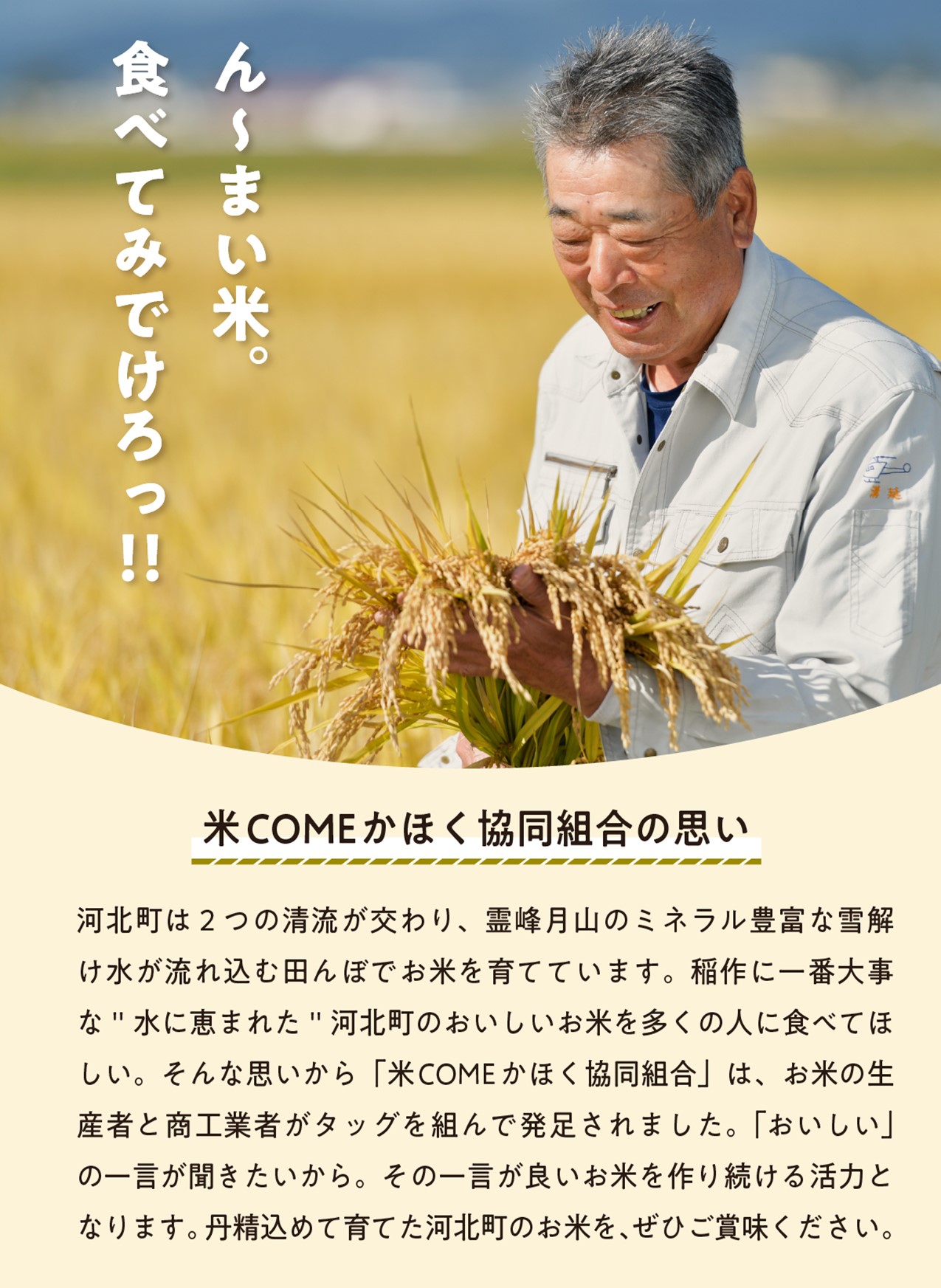 【令和6年産米】2025年4月下旬発送 特別栽培米 つや姫 5kg山形県産 【米COMEかほく協同組合】 