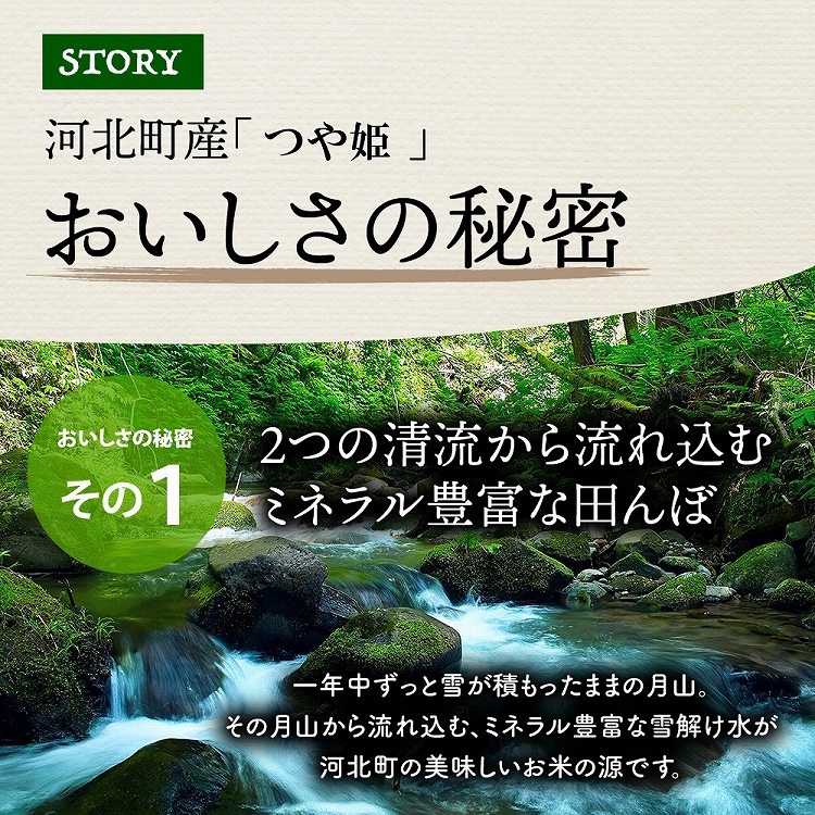 【令和6年産米】2025年4月上旬発送 特別栽培米 つや姫10kg（5kg×2袋）山形県産 【JAさがえ西村山】