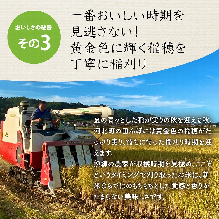 【令和6年産米】2025年3月下旬発送 特別栽培米 つや姫20kg（5kg×4袋）山形県産 【JAさがえ西村山】