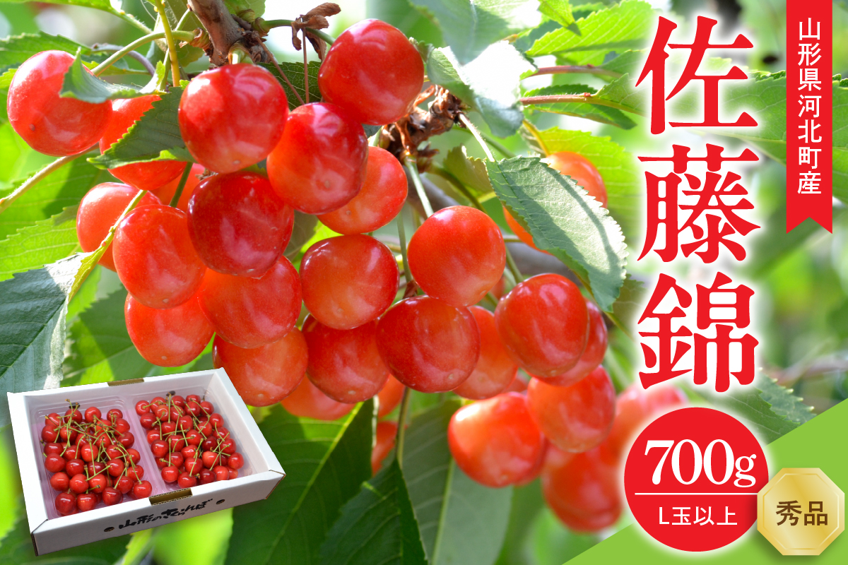 【令和8年産】さくらんぼ 佐藤錦 700g(350g×2パック) L玉以上 ギフト箱入 秀品 山形県産 【山形eLab】 ka074-033