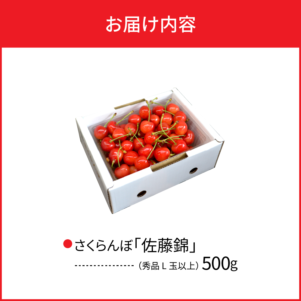 【令和8年産】さくらんぼ 佐藤錦 500g L玉以上 ギフト箱入 秀品 山形県産 【山形eLab】　ka074-032