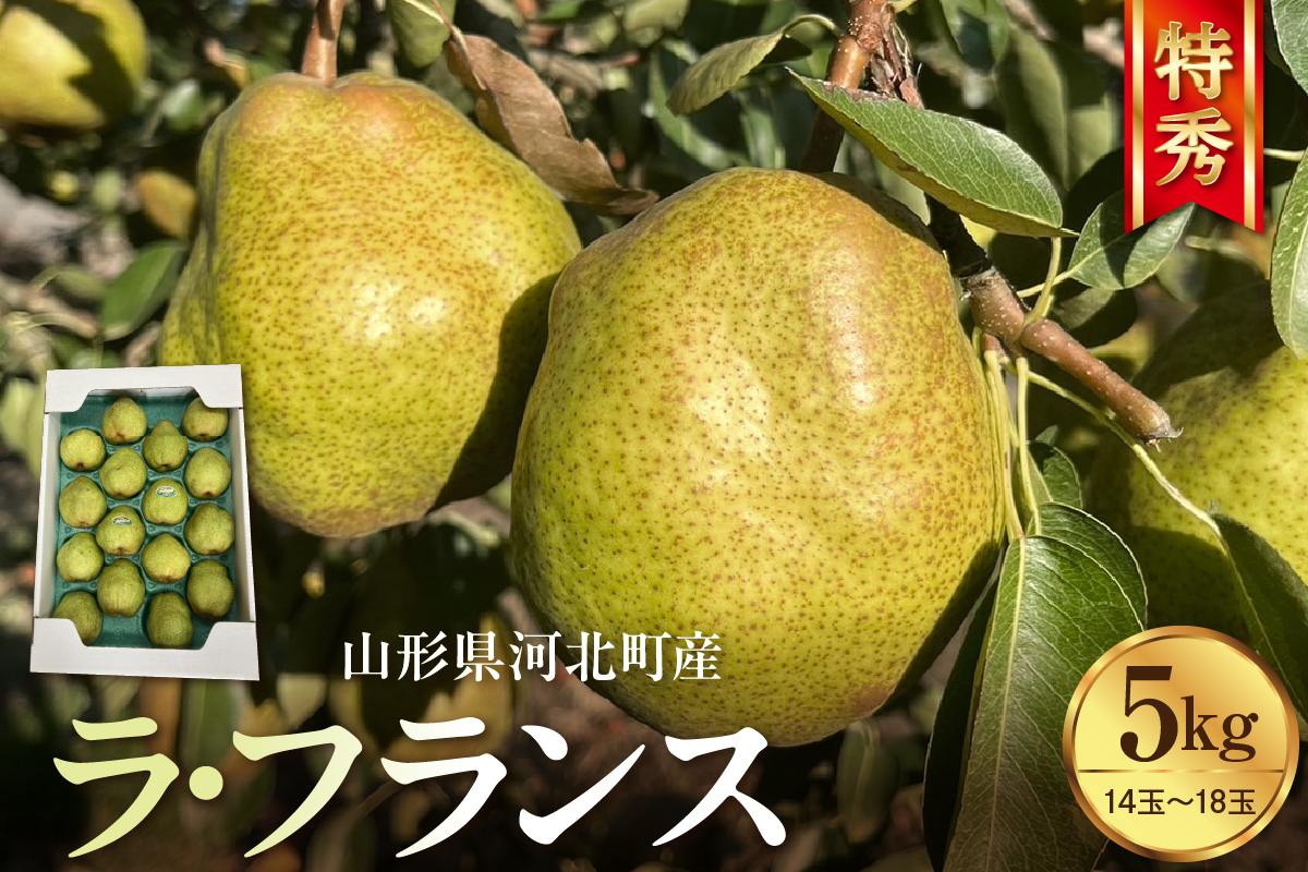 【令和8年産】食べ頃がわかる！ 洋梨「ラ・フランス」 特秀 約5kg 山形県河北町産 【河北町観光物産協会】　ka002-003-r8