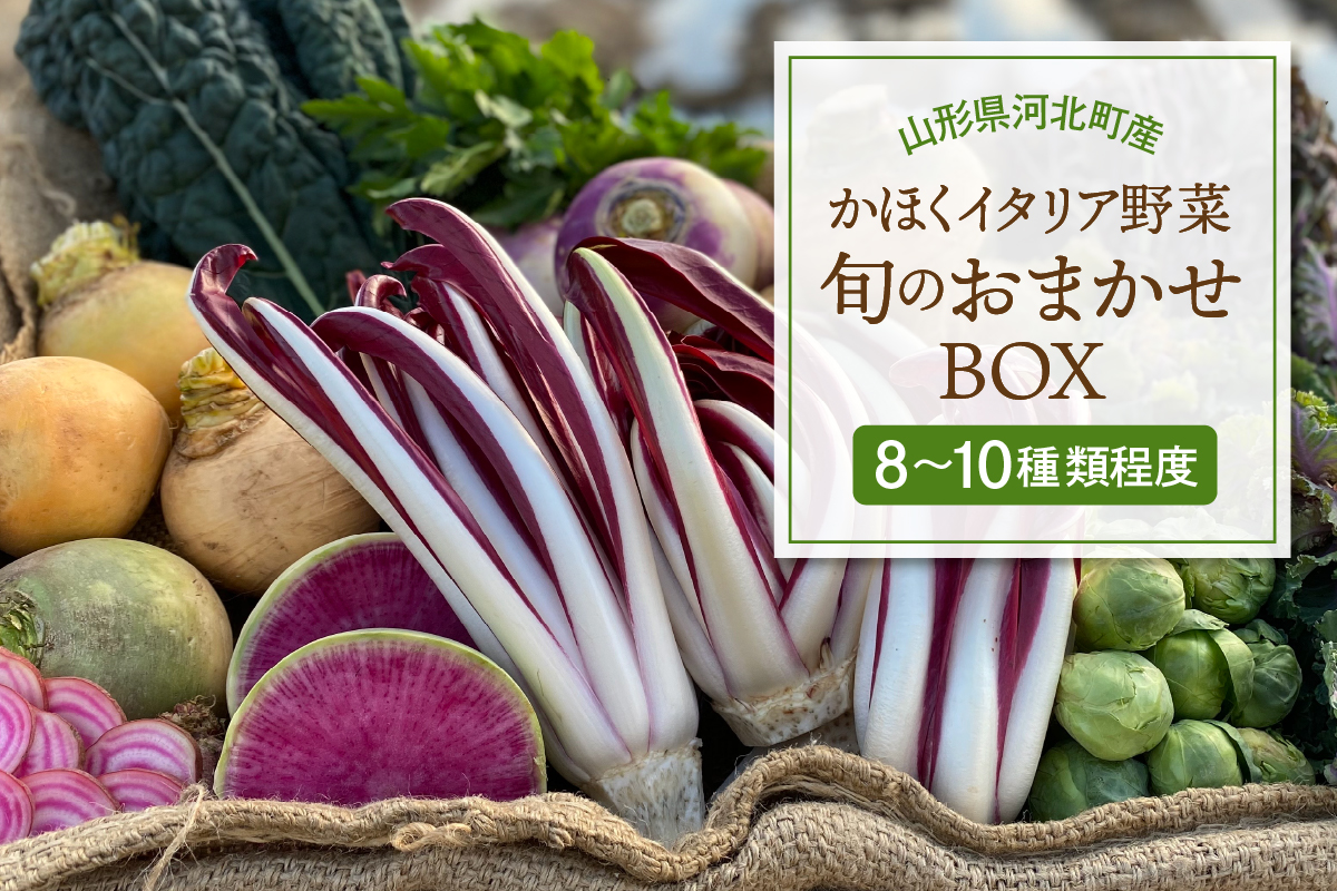 かほくイタリア野菜旬のおまかせBOX（約8〜10種類） 野菜の説明&おしゃれな料理が簡単に作れちゃうレシピ付き♪