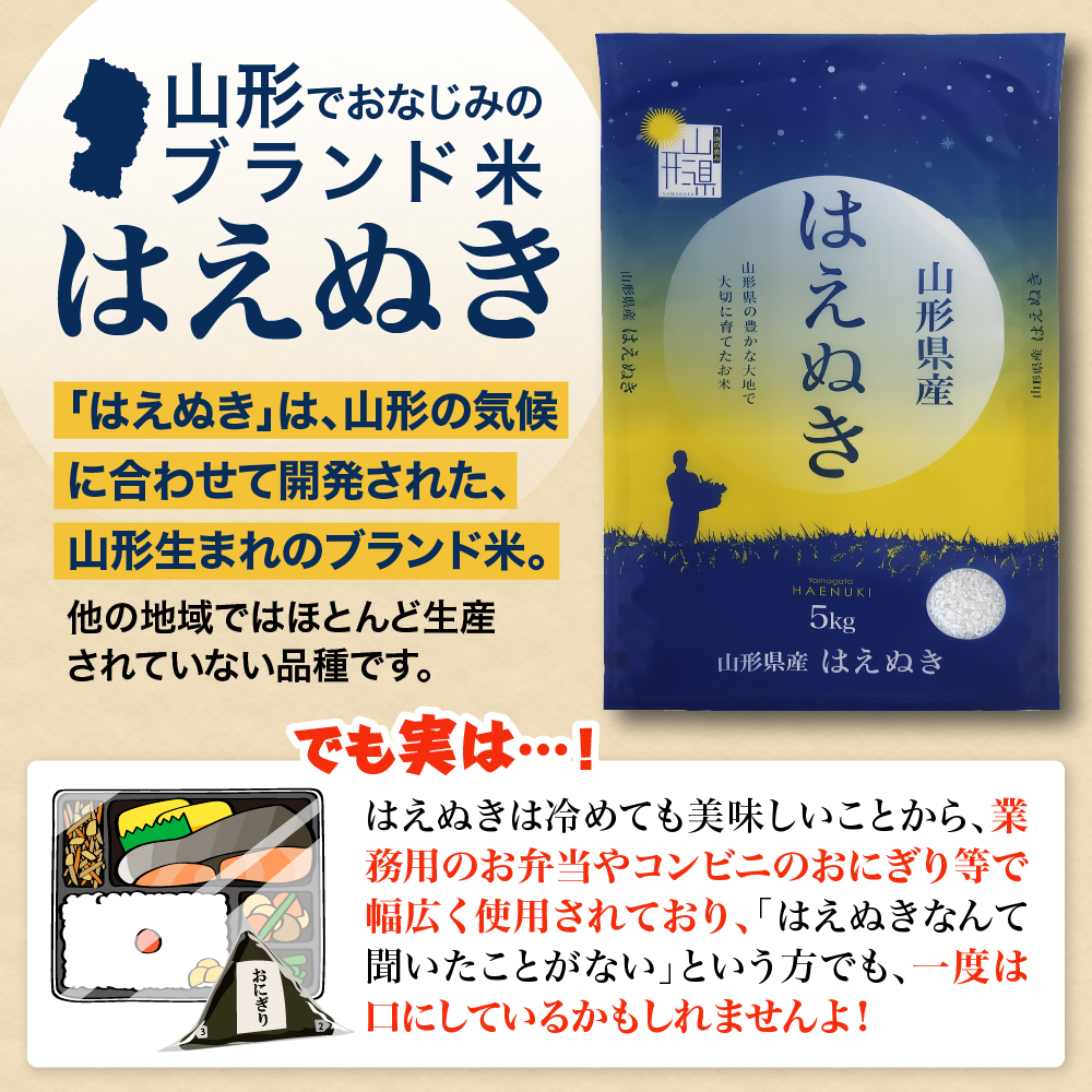 縲蝉サ、蜥8蟷エ逕」邀ウ縲2027蟷エ1譛井ク区流逋コ騾 縺ッ縺医〓縺60kgシ20kgテ3繝カ譛茨シ画ッ取怦螳壽悄萓ソ 螻ア蠖「逵檎肇 縲千アウcome縺九⊇縺丞鵠蜷檎オ蜷医 ka024-113d-r8-01033