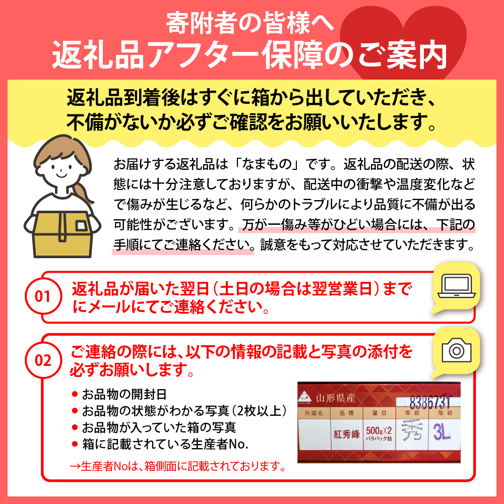【令和8年産】とにかく甘い、朝採りとうもろこし「フルーツコーン」 8本 【かほくらし社】 ka019-014-8-r8