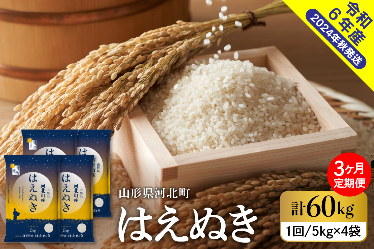 【令和6年産米】※2025年3月下旬スタート※ はえぬき60kg（20kg×3ヶ月）定期便 山形県産 【米COMEかほく協同組合】