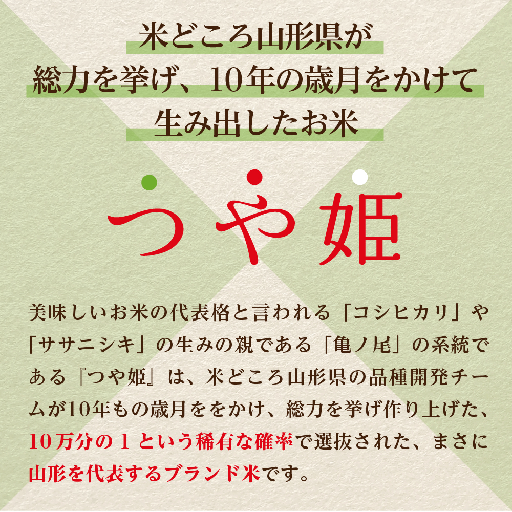 【令和6年産米】※2025年1月中旬スタート※ 特別栽培米 つや姫30kg（10kg×3ヶ月）定期便 山形県産 【米COMEかほく協同組合】