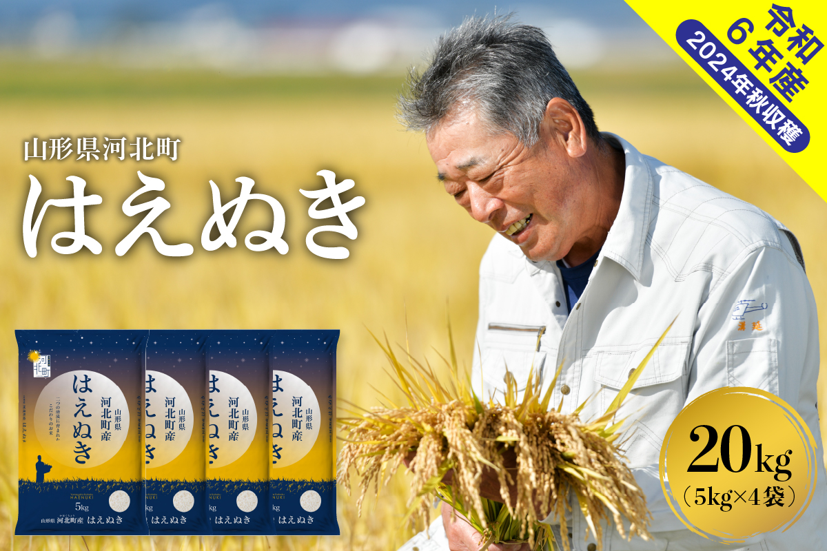 【令和6年産米】2025年1月中旬発送 はえぬき20kg（5kg×4袋） 山形県産【米COMEかほく協同組合】