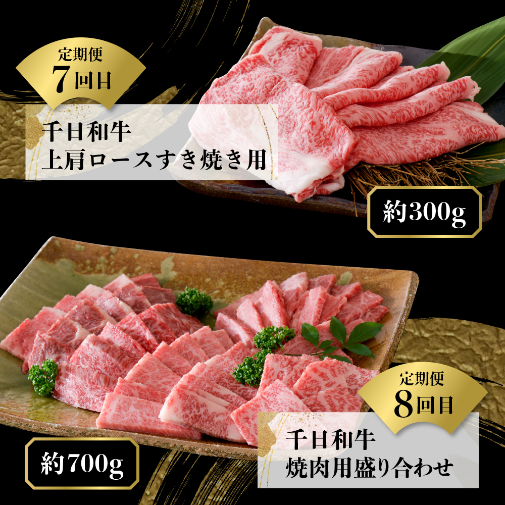 【数量限定】★肉の至宝★ 幻の山形牛【千日和牛】旨味とろける極上和牛10ヶ月定期便