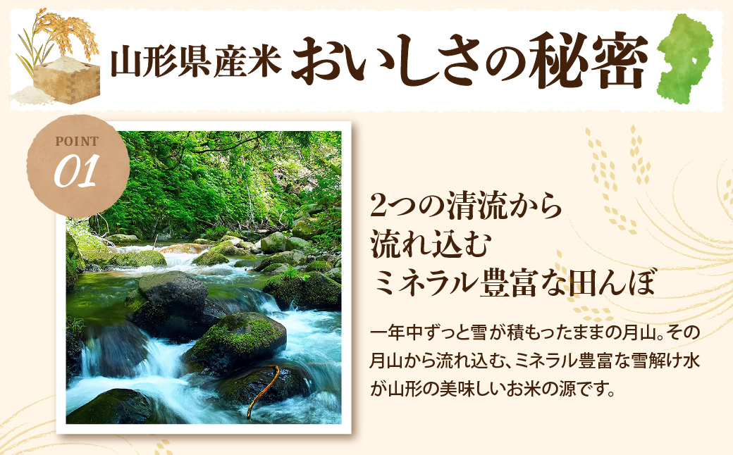 【令和8年産米】2027年5月上旬発送 はえぬき10kg 山形県産 【米COMEかほく協同組合】