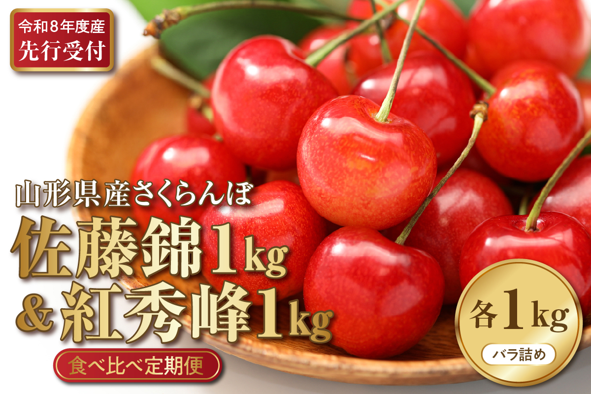 【2026年産先行予約】さくらんぼ食べ比べ2回定期便 「佐藤錦」と「紅秀峰」 各1㎏(500g×2） 山形県河北町産 【晴天畑】 さくらんぼ 贈答 ギフト 秀品 先行予約 食べ比べ 令和8年産 ka073-011