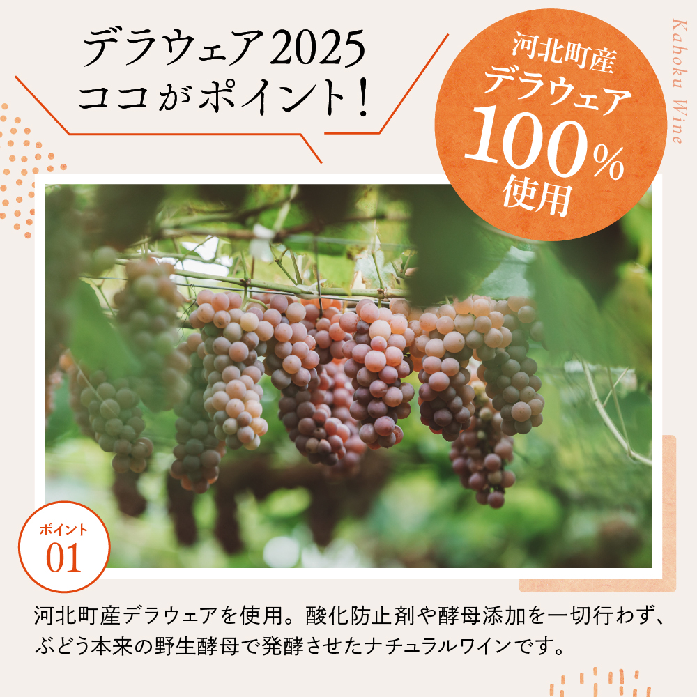 縲先イウ蛹礼伴逕」縺カ縺ゥ縺100シ菴ソ逕ィ繝サ蠕ョ逋コ豕。繝繝ゥ繧ヲ繧ァ繧「繝ッ繧、繝ウ縲船elaware 2025シ750mlテ1譛ャシ峨舌°縺サ縺上i縺礼、セ縲 繝ッ繧、繝ウ 繝繝ゥ繧ヲ繧ァ繧「 雍育ュ 100シ 繝翫メ繝・繝ゥ繝ォ繝ッ繧、繝ウ ka019-012j001-2025