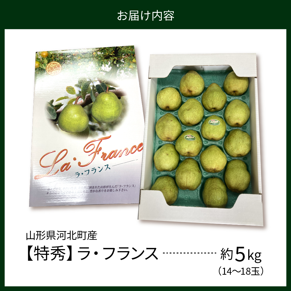 【令和8年産】食べ頃がわかる！ 洋梨「ラ・フランス」 特秀 約5kg 山形県河北町産 【河北町観光物産協会】　ka002-003-r8