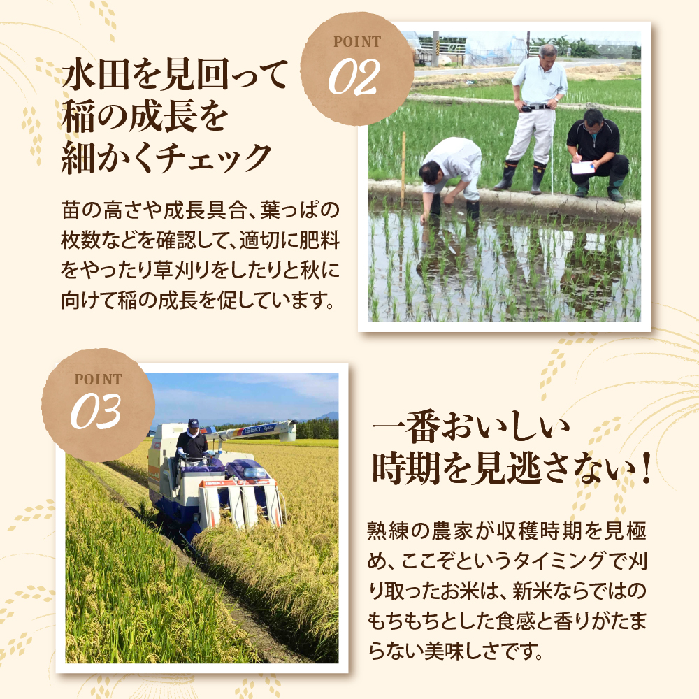 【令和8年産米】2027年4月下旬発送 特別栽培米 つや姫 10kg 山形県産【米COMEかほく協同組合】
