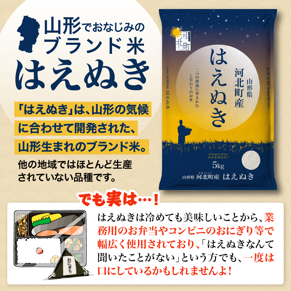 【令和8年産米】2026年11月下旬発送 はえぬき10kg 山形県産 【米COMEかほく協同組合】
