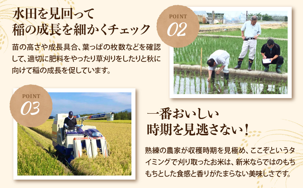 【令和8年産米】2027年5月上旬発送 はえぬき10kg 山形県産 【米COMEかほく協同組合】