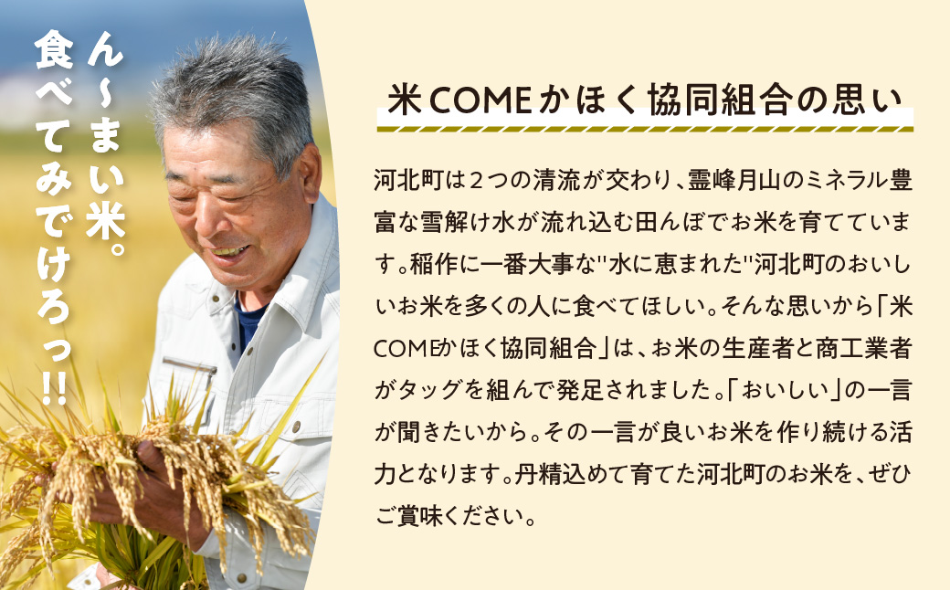 【令和8年産米】2027年3月下旬発送 はえぬき10kg 山形県産 【米COMEかほく協同組合】