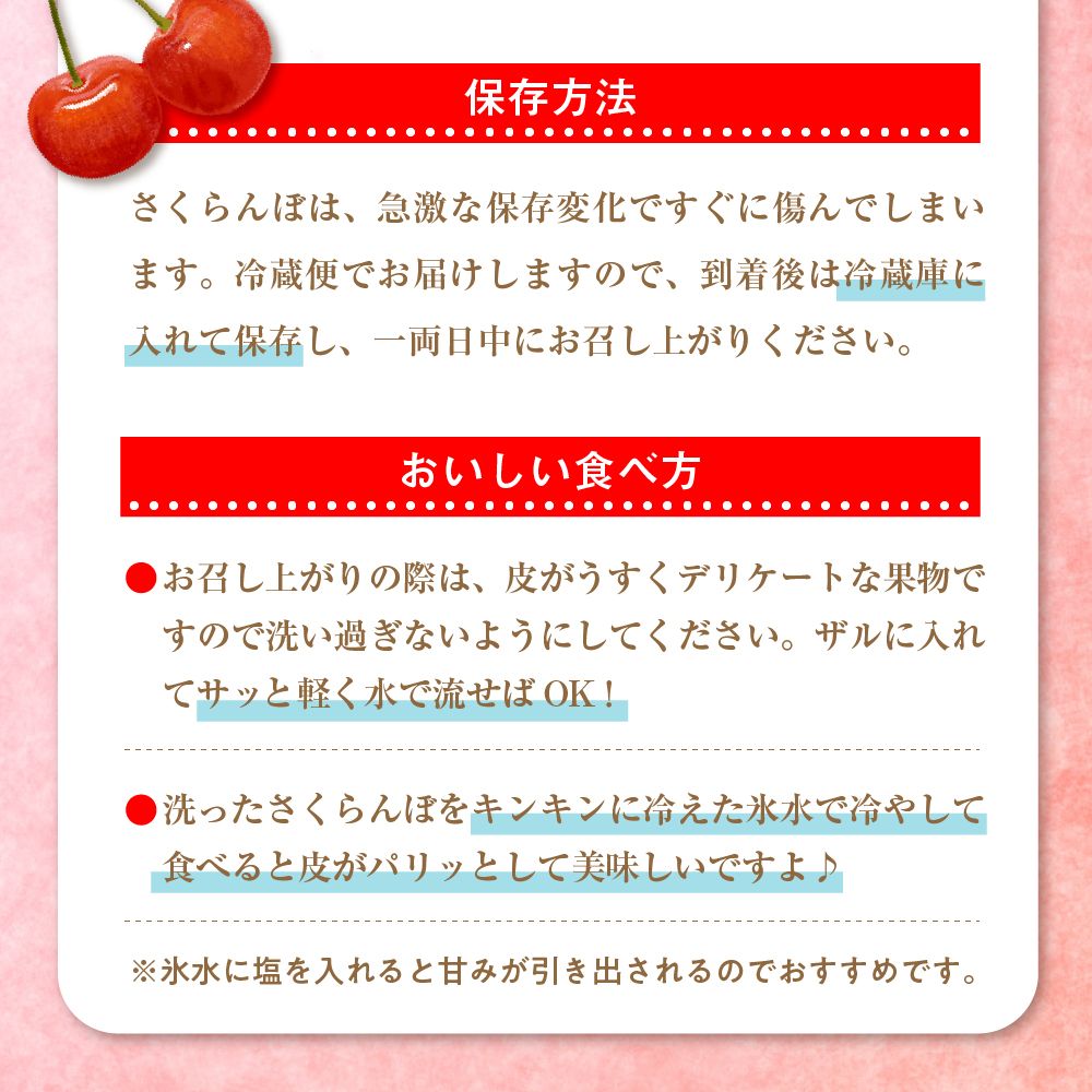 【令和7年産】朝採り＆当日出荷！イチ押し農家さんの朝採りさくらんぼ「佐藤錦」秀品 1kg（500g×2パック）バラ詰め 山形県河北町産【河北町観光協会】