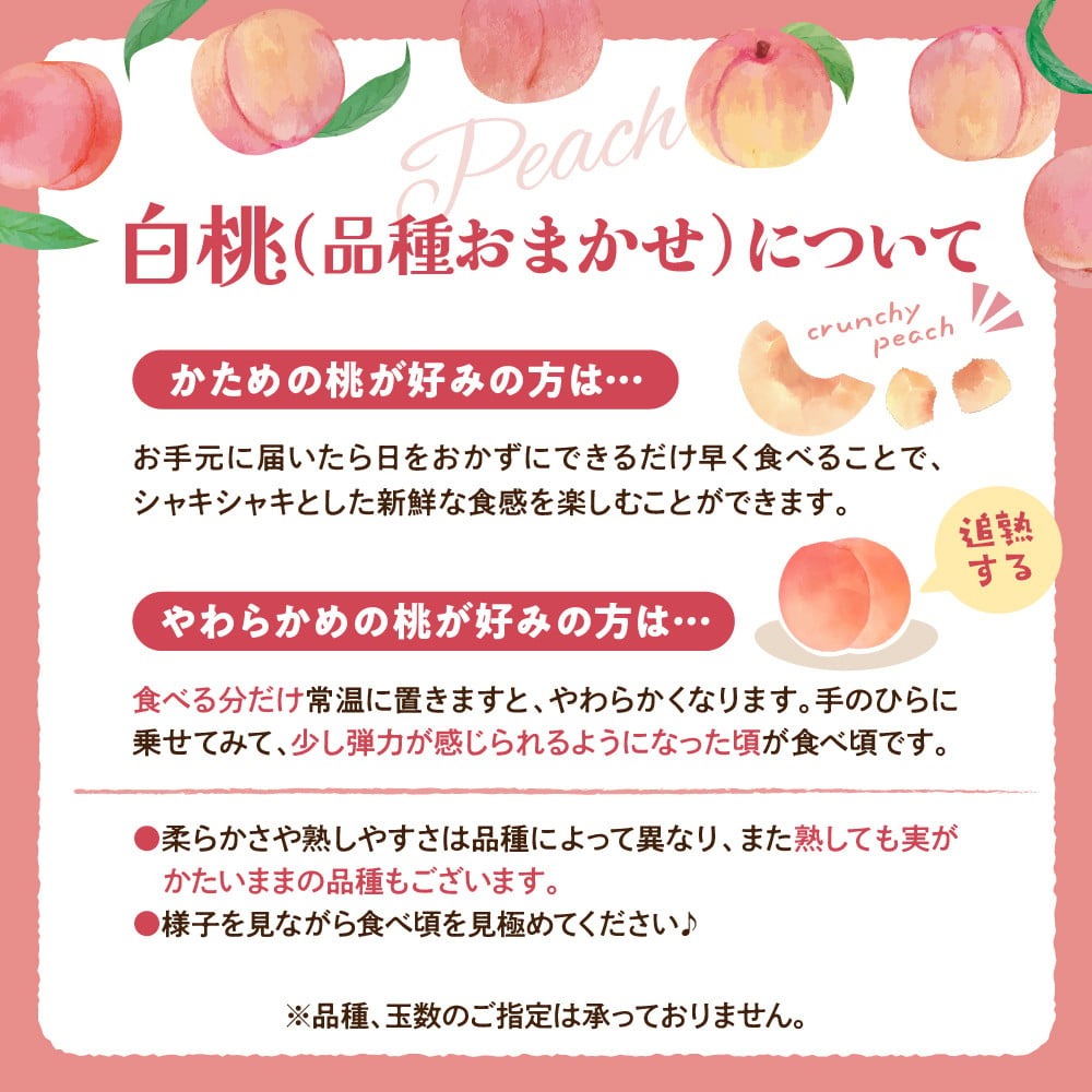【令和8年産】白桃 品種おまかせ 2kg (6～8玉前後) ギフト箱入 秀品 山形県河北町産 【山形eLab】 ka074-026-r8