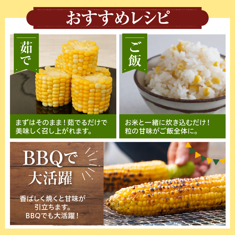 【令和8年産】とにかく甘い、朝採りとうもろこし「フルーツコーン」 23本 【かほくらし社】 ka019-014-23-r8