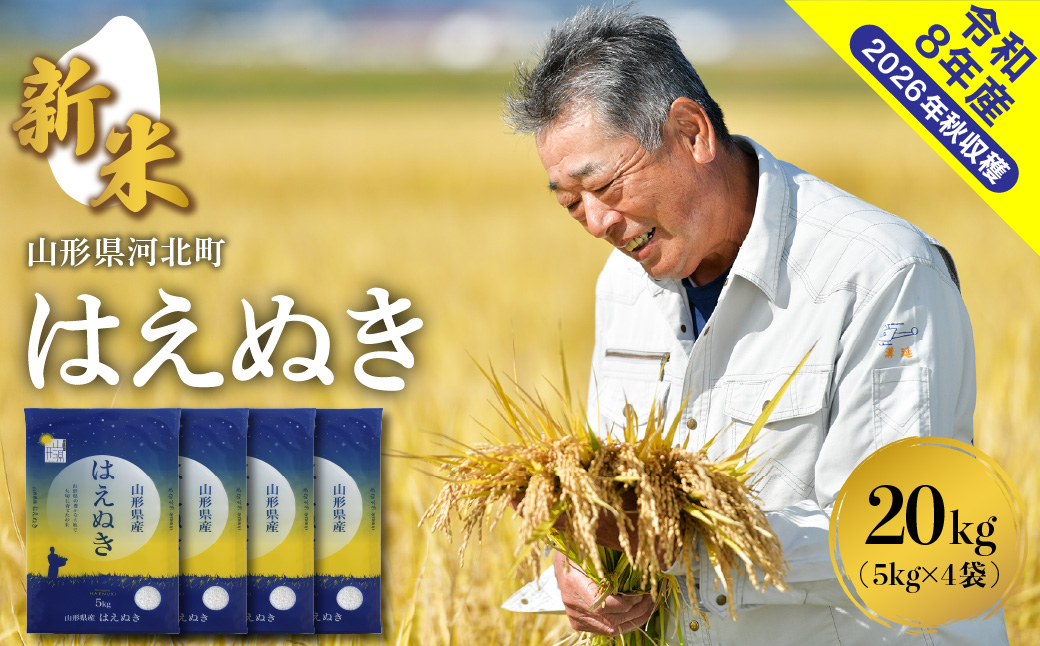 【令和8年産米】2026年11月中旬発送 はえぬき20kg 山形県産 【米COMEかほく協同組合】