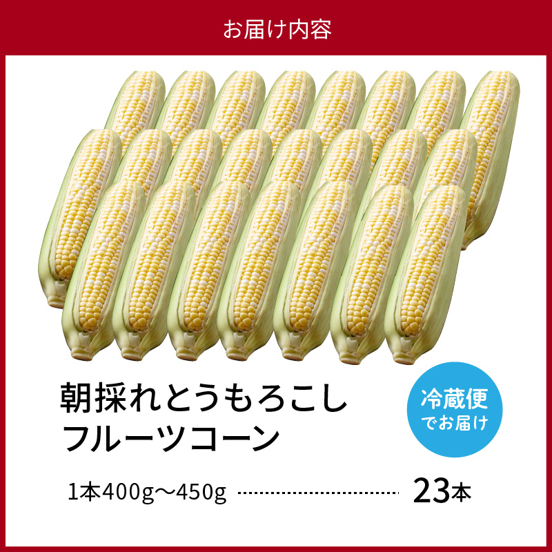 【令和8年産】とにかく甘い、朝採りとうもろこし「フルーツコーン」 23本 【かほくらし社】 ka019-014-23-r8