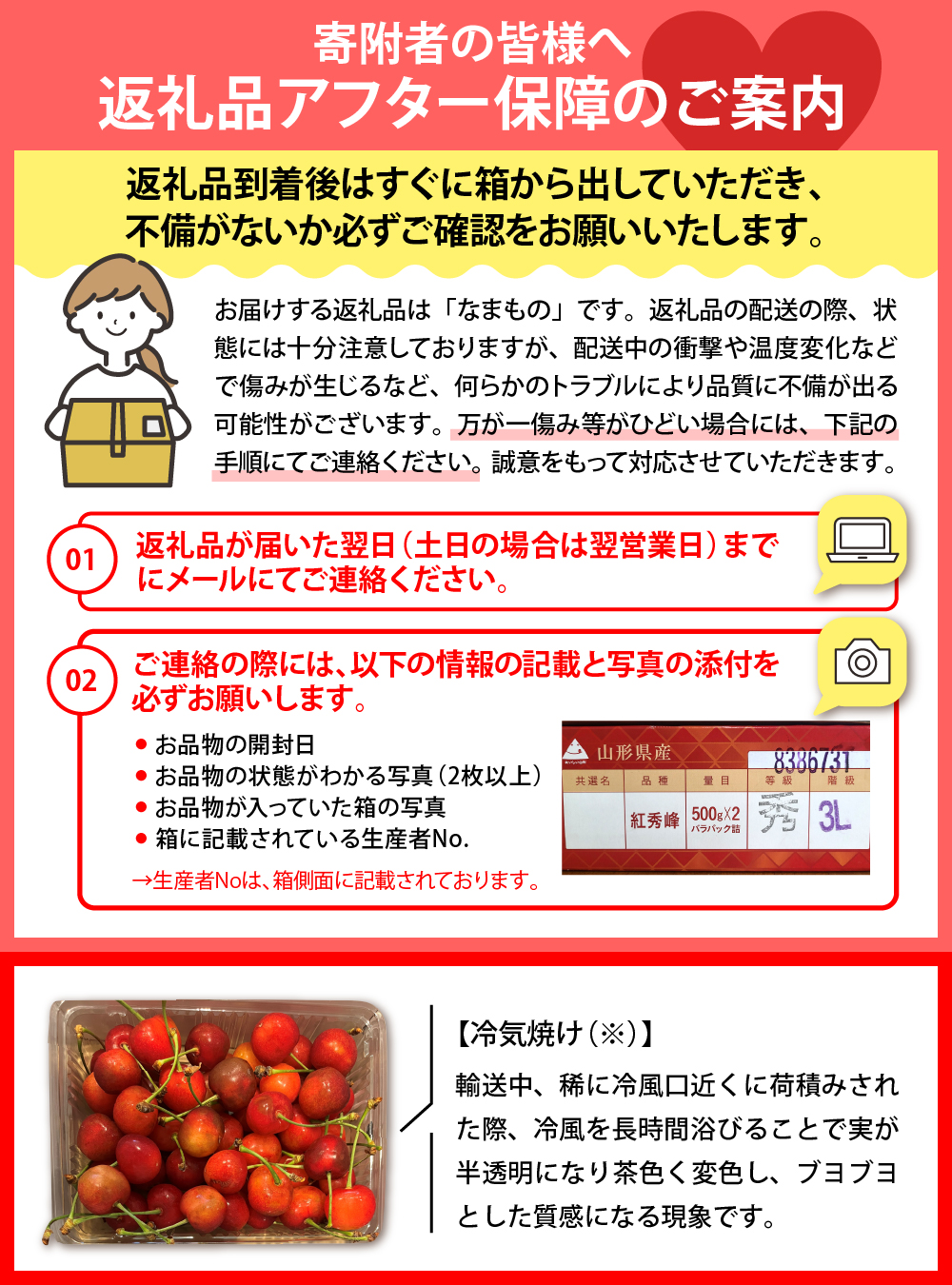 【令和8年産】ハウスさくらんぼ「佐藤錦」きららパック200g（100g×2） 山形県河北町産【JAさがえ西村山】