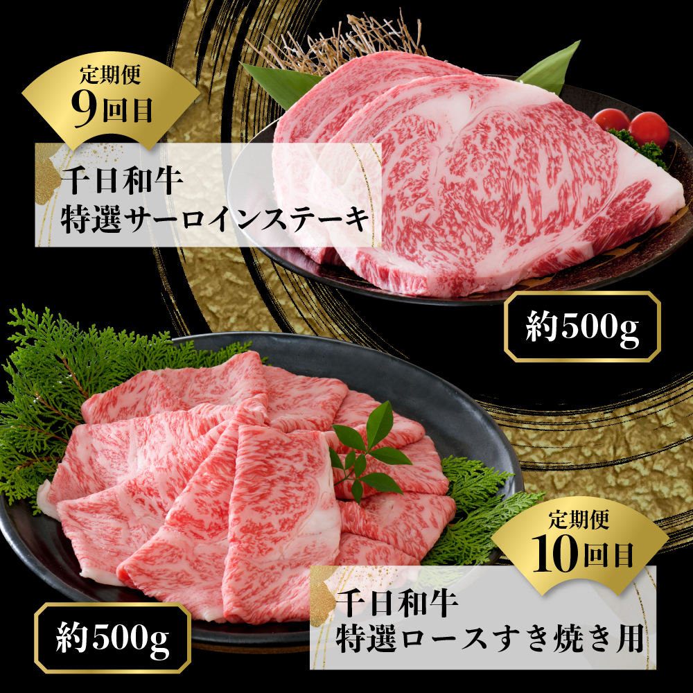 【数量限定】★肉の至宝★ 幻の山形牛【千日和牛】旨味とろける極上和牛10ヶ月定期便