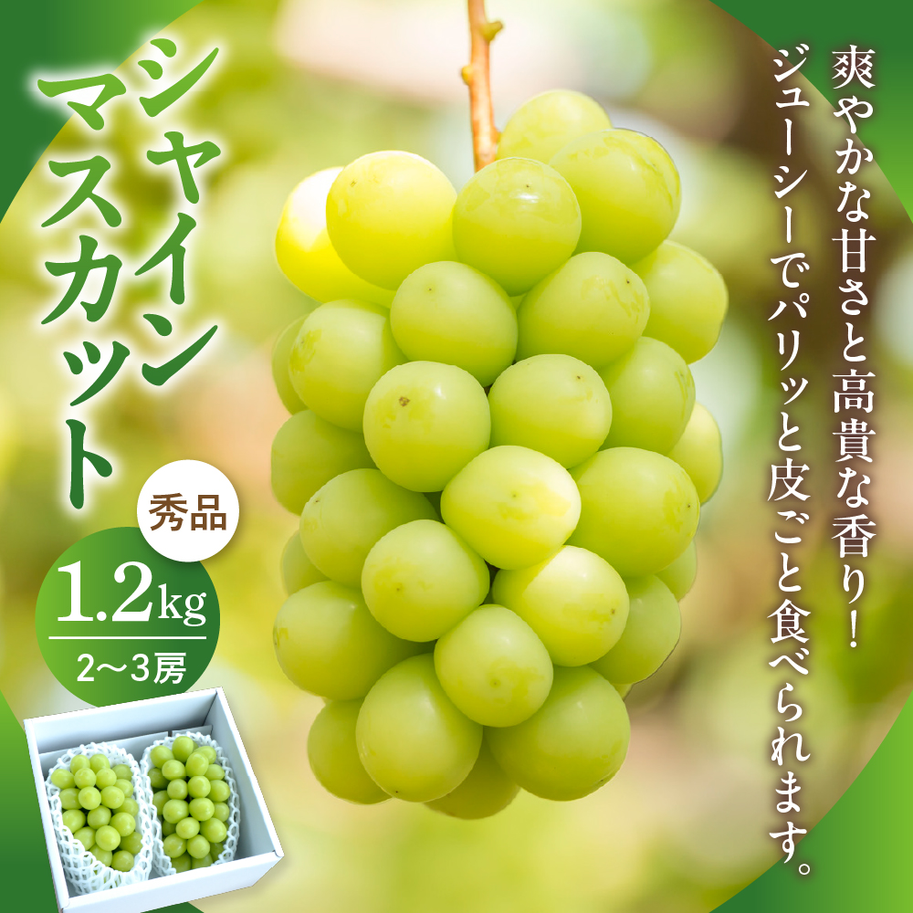 【令和8年産】河北町の山形らしいフルーツ定期便 3回(シャインマスカット・ラフランス・サンふじ)【山形eLab】 ka074-029-r8
